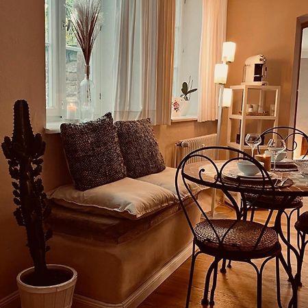 Apartment Am Schloss - Flair Саарбрюккен Экстерьер фото